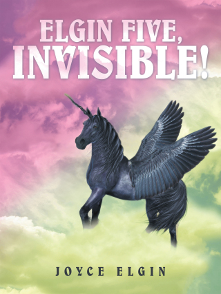 Imagen de portada: ELGIN FIVE, INVISIBLE! 9781663277787