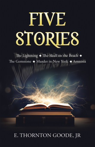 Cover image: Five Stories 9781663279965