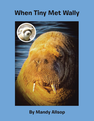 表紙画像: When Tiny Met Wally 9781664116054