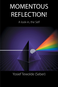 Cover image: Momentous Reflection! 9781664116078