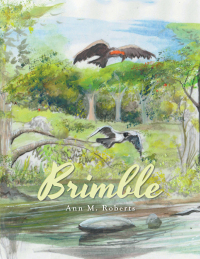 Cover image: Brimble 9781664118577