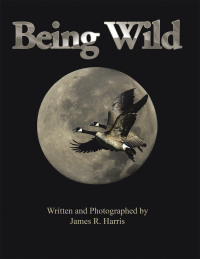 Imagen de portada: Being Wild 9781441502315