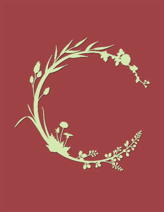 Imagen de portada: Ready Set Cook 9781664122376