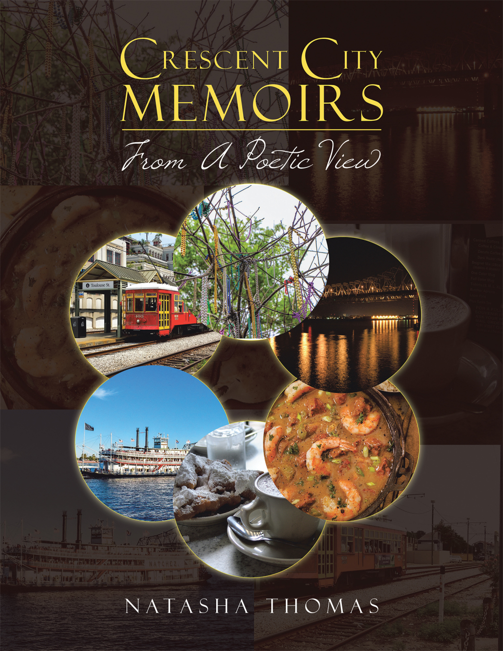 Crescent City Memoirs From a Poetic View