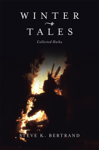 Cover image: Winter Tales 9781664133631