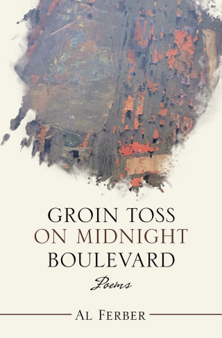 Cover image: Groin Toss on Midnight Boulevard 9781664146716