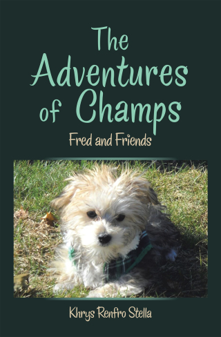 Cover image: The Adventures of Champs 9781664158863