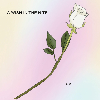 Cover image: A Wish in the Nite 9781664162525