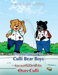 Cover image: The Adventures of the Culli Bear Boys 9781462880294