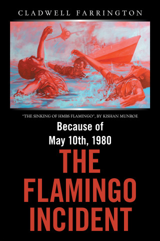 Imagen de portada: Because of May 10Th, 1980; the Flamingo Incident 9781664173651