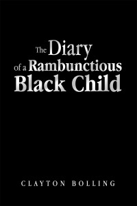 Cover image: The Diary of a Rambunctious Black Child 9781664176591
