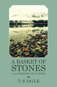 Cover image: A Basket of Stones 9781664182851