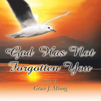 Omslagafbeelding: God Has Not Forgotten You 9781441562500