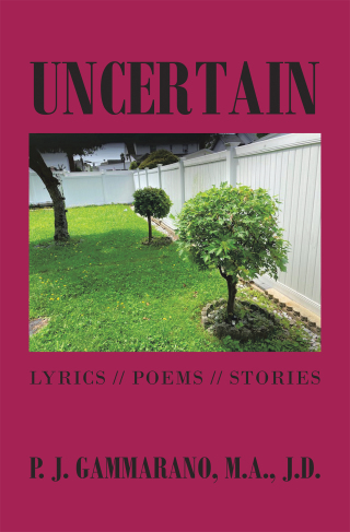 Omslagafbeelding: Uncertain 9781664185739