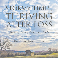 Cover image: Stormy Times, Thriving After Loss 9781664191419