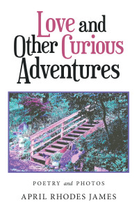 Omslagafbeelding: Love and Other Curious Adventures 9781664193017