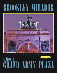 Cover image: Brooklyn Mirador 9781664194441