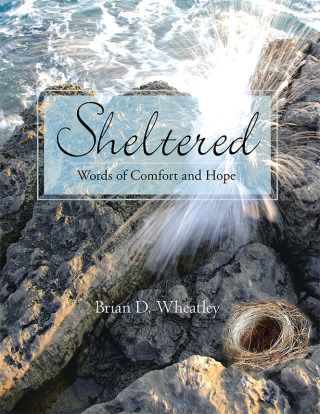 Imagen de portada: Sheltered 9781469152738