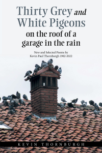 Imagen de portada: Thirty Grey and White Pigeons on the Roof of a Garage in the Rain 9781664198869