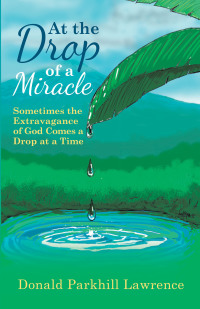 Omslagafbeelding: At the Drop of a Miracle 9781664202702