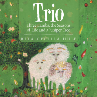Omslagafbeelding: Trio 9781664206137