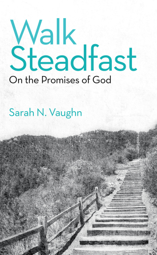 Omslagafbeelding: Walk Steadfast 9781664209923
