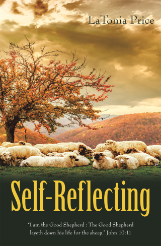 Imagen de portada: Self-Reflecting 9781664210233
