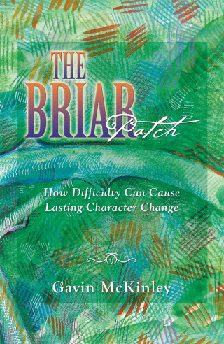 Imagen de portada: The Briar Patch 9781664211506