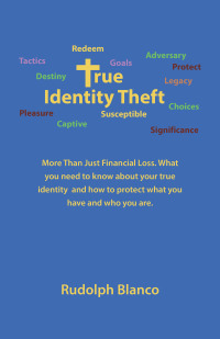 Omslagafbeelding: True Identity Theft 9781664212480
