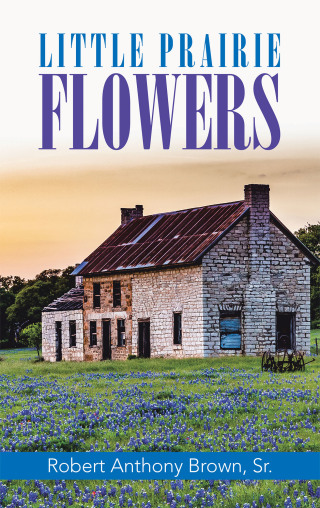 Titelbild: Little Prairie Flowers 9781664213135
