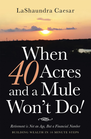Imagen de portada: When 40 Acres and a Mule Won’t Do! 9781664219823