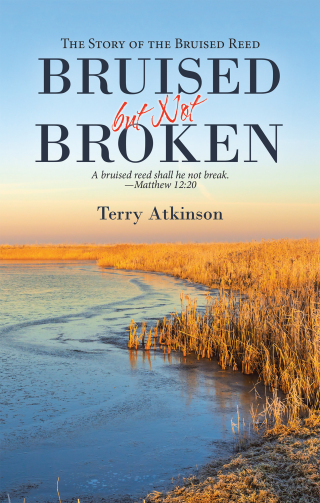Imagen de portada: Bruised but Not Broken 9781664221710
