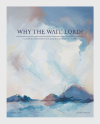 表紙画像: Why the Wait, Lord? 9781664222502