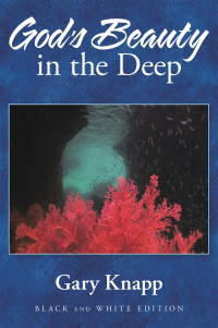 Cover image: God's Beauty in the Deep 9781664223080