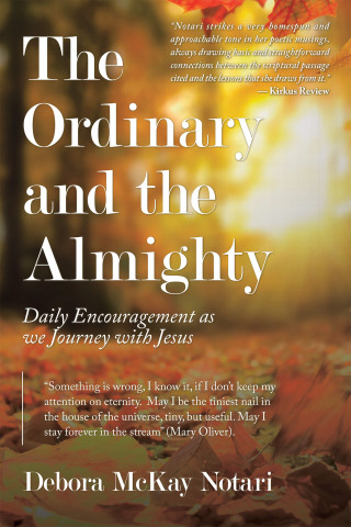 Omslagafbeelding: The Ordinary and the Almighty 9781664227859