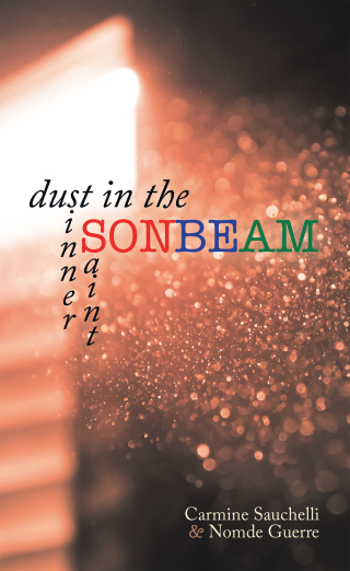 Titelbild: Dust in the Sonbeam 9781664228276