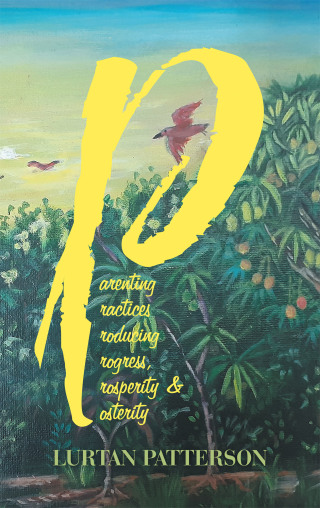 表紙画像: Parenting Practices Producing Progress, Prosperity & Posterity 9781664230293