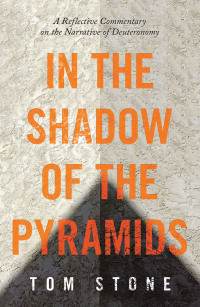 Imagen de portada: In the Shadow of the Pyramids 9781664232006