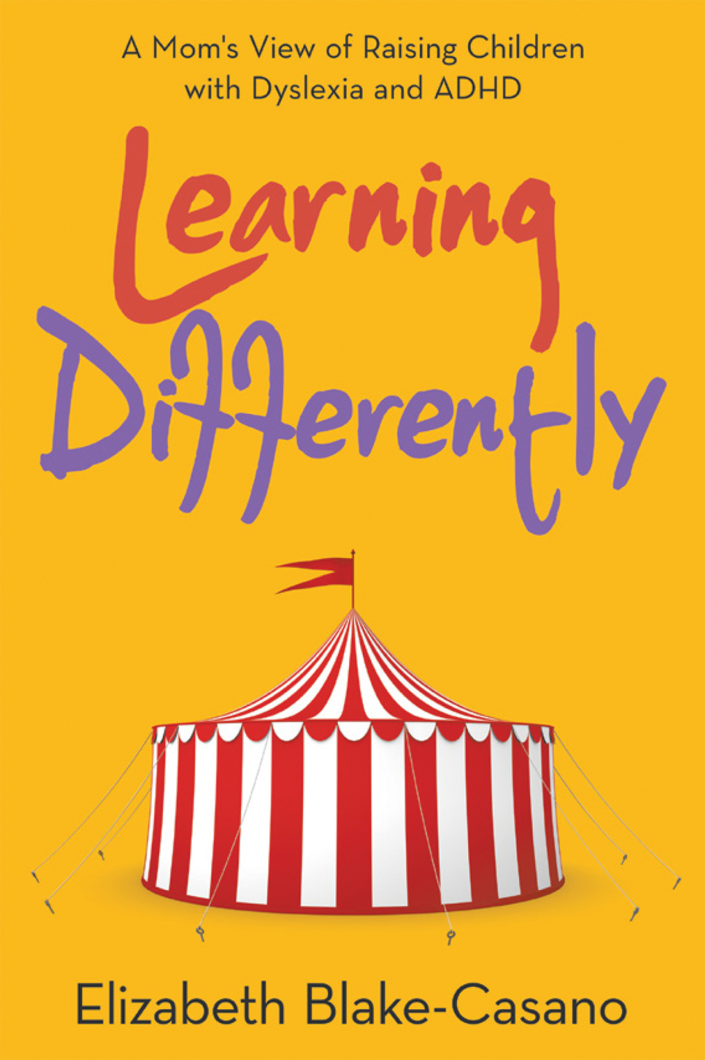 Learning Differently (eBook)