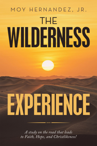 Omslagafbeelding: The Wilderness Experience 9781664235533