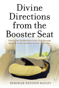 Cover image: Divine Directions from the Booster Seat 9781664239944