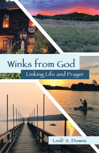 Cover image: Winks from God 9781664240759