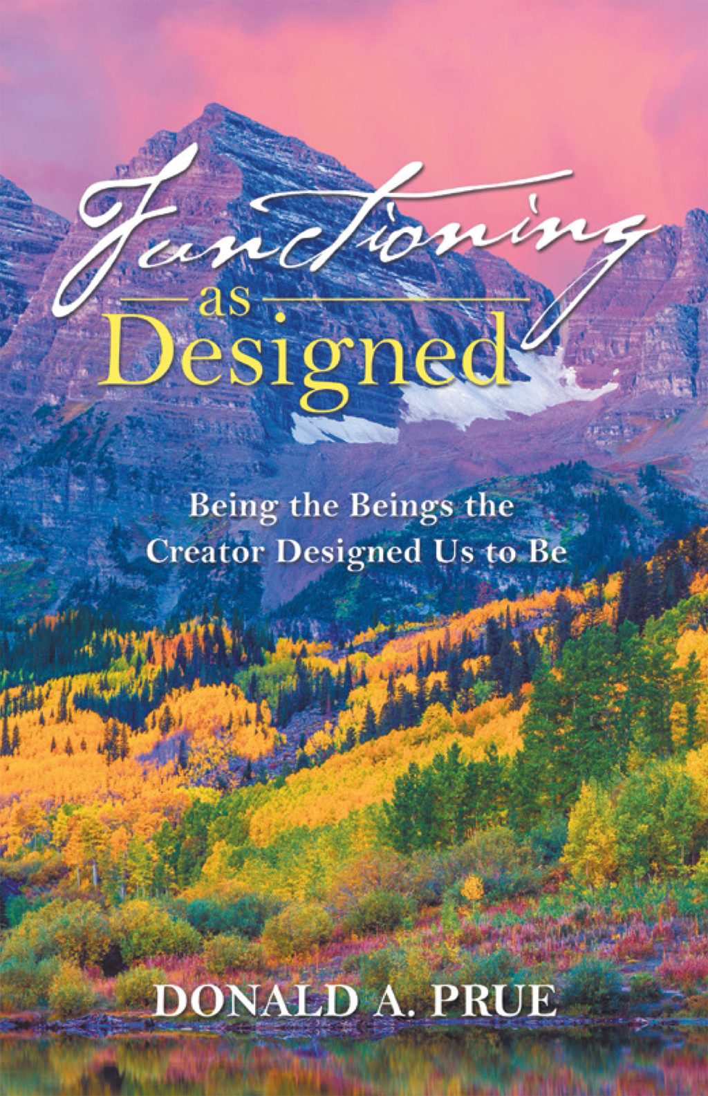 Functioning as Designed (eBook)