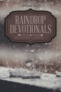Cover image: Raindrop Devotionals 9781664243200