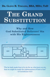 Cover image: The Grand Substitution 9781664245143