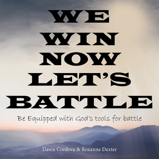 Cover image: We Win Now Let’s Battle 9781664245501