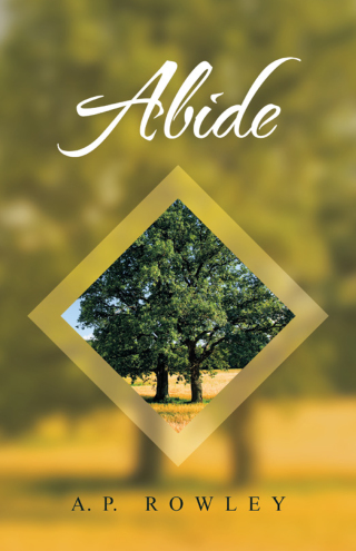 Imagen de portada: Abide 9781664246232