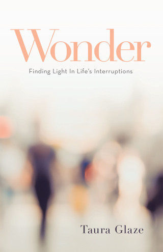表紙画像: Wonder 9781664246935
