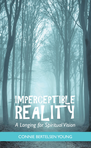 Cover image: Imperceptible Reality 9781664249059