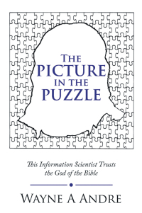 Cover image: The Picture in the Puzzle 9781664257405